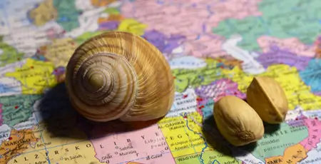 Transport dla biur podróży